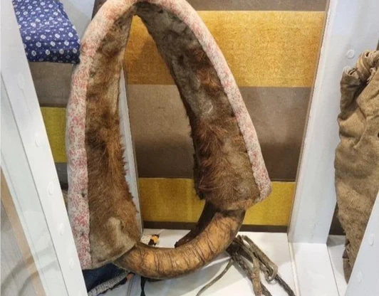 Хомут